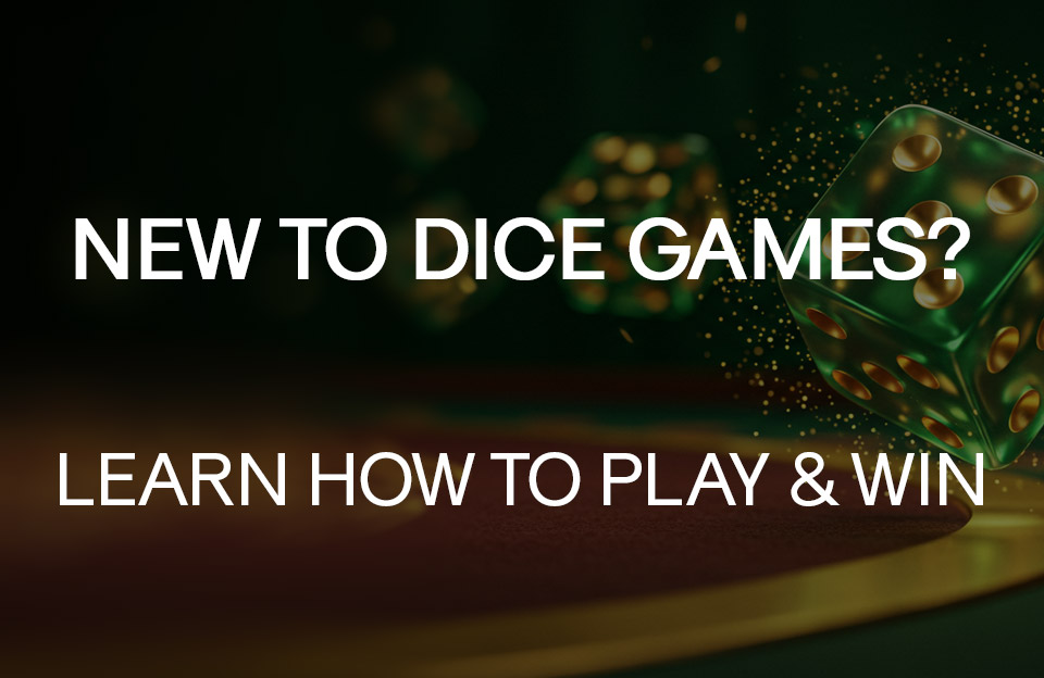 How to Play Dice Online?